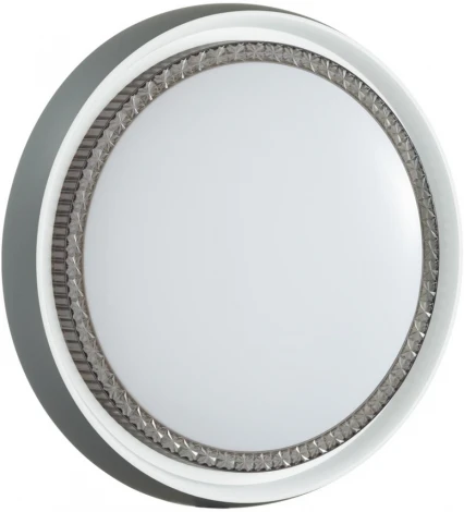 Настенно-потолочный светильник Sonex Rahig 7644/DL пластик/белый/серый LED 48Вт 4000К D425 IP43