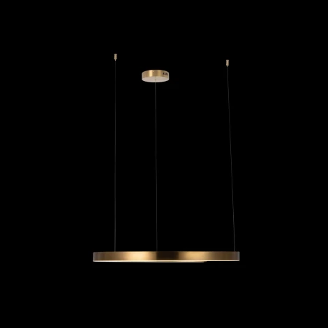 Подвесной светильник Loft IT Ring 10013L (LED, 220V, на тросе, кольцо)