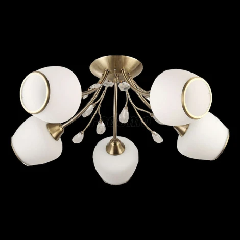 Collezioni Rumba TC-110-405