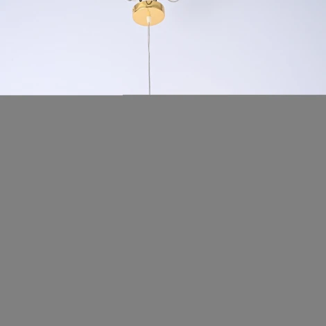 Подвесная люстра G9 Lu Carte LC-11-1899