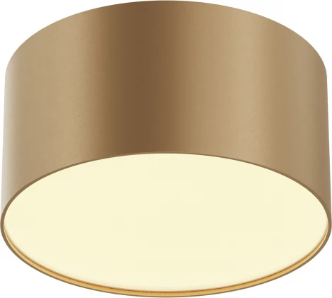 Потолочный светильник круглый Maytoni Zon C032CL-12W2.7K-RD-MG (LED, 220V, круглые)