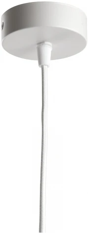 Подвесной светильник Feron HL3568 48089 (220V, на проводе, шар)