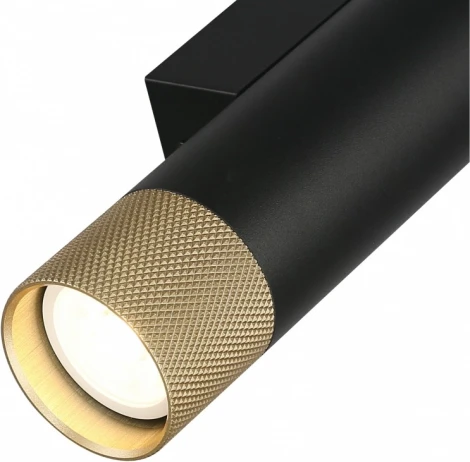 Настенный светильник iLedex Delta 2365-2 BK+BR (220V, круглые)