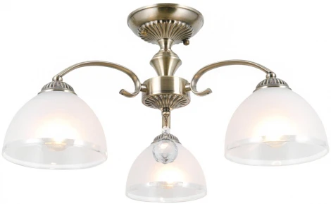 Потолочная люстра на штанге Citilux Франческа CL417133