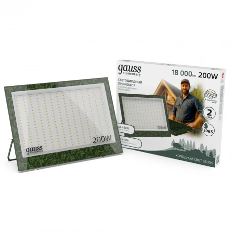 Прожектор уличный светодиодный Gauss GFD008