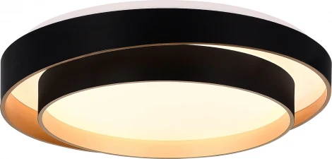 Потолочный светильник Evoluce Crosby SLE6009-402-01 Черный/Белый LED 1*50W 3000K/4000K/6000K