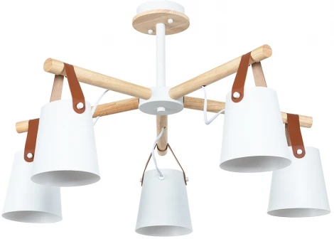 Потолочная люстра на штанге Arte Lamp Thomas A7032PL-5WH (220V)