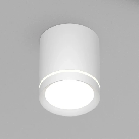 Накладной точечный светильник Denkirs DK4016 DK4013-WH (LED, 220V, круглые)