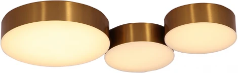 Потолочный светильник Vanessa H848-0