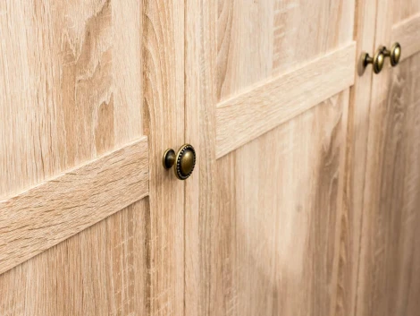 Шкаф Reina ОГОГО (арт.333607), (ЛДСП/Дуб Сонома)