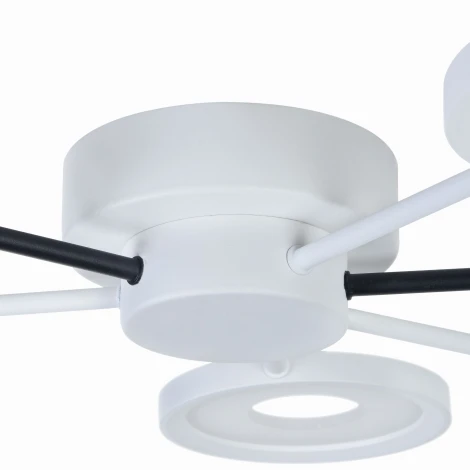 Потолочная люстра Maytoni Aprilia MOD809-CL-06-72-WB