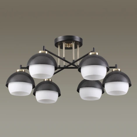 Потолочная люстра Lumion Jade 4456/6C