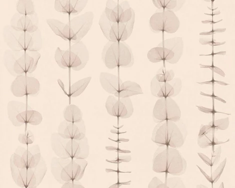 Обои виниловые A.S. Creation X-Ray 34246-1 10,05 x 0,53 м