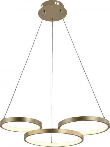 Подвесной светильник светодиодный с пультом и регулировкой цветовой температуры и яркости Rivoli Clara 6125-101 (220V, на тросе)