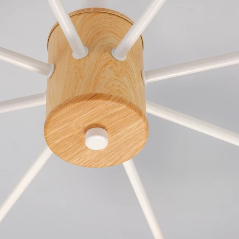 Потолочная люстра Eurosvet Fresco 70085/8 белый (220V)