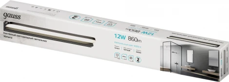 Настенный светильник Gauss BR002