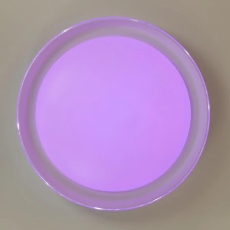 Потолочный светильник RGB круглый светодиодный с пультом Citilux Mega CL752350G (220V, круглые)