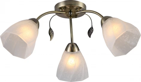 Потолочная люстра Rivoli Olivia 9088-303