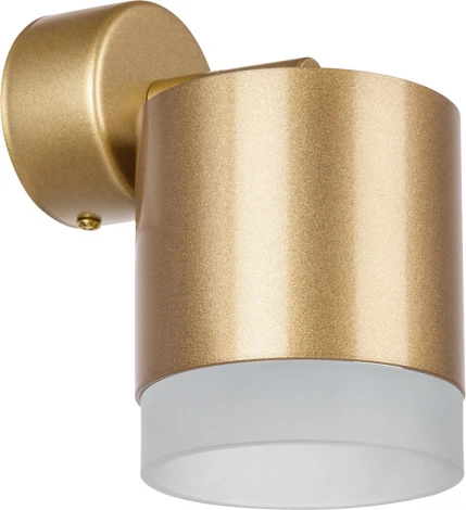 Спот Lightstar Rullo RBX349080 (220V)