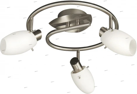 Massive Usagi 50999-17-10