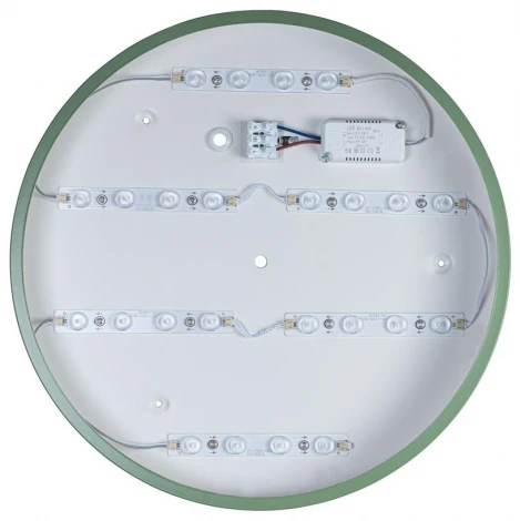 Потолочный светильник круглый Loft IT Axel 10002/24 Green (LED, 220V, круглые)