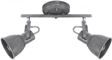 Спот на штанге Arte Lamp Jovi A1677PL-2GY (220V, круглые)