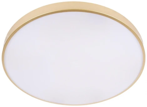 Потолочные светильники Loft It Flims 10228/B (LED, 220V, круглые)