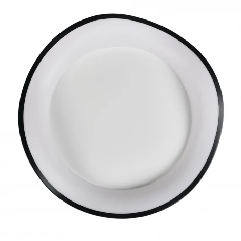 Потолочный светодиодный светильник круглый MyFar Diona MR9171-CL (регулировка яркости, 220V, пульт управления, круглые)