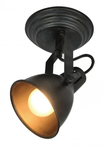 Спот Silver Light Bastille 310.42.1