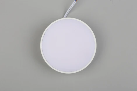 Потолочный светильник круглый Aployt Evon APL.0114.09.12 (LED, 220V, круглые)