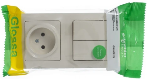 Розетка встраиваемая с заземлением с двухклавишным выключателем (бежевый) Systeme Electric GSL000272