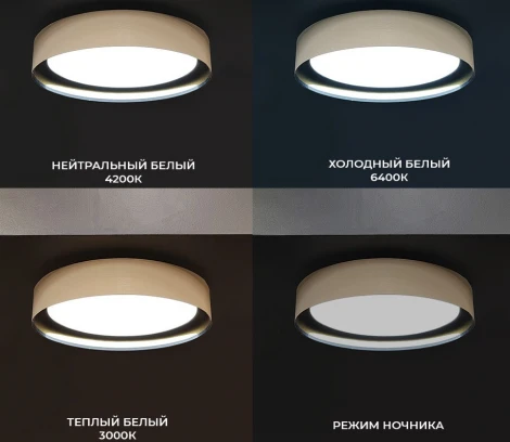 Потолочный светильник Seven Fires Лагом 48203.40.72.77BK-CFGD