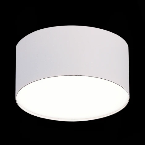Потолочный светильник круглый ST Luce ST606.542.12 (LED, 220V, круглые)
