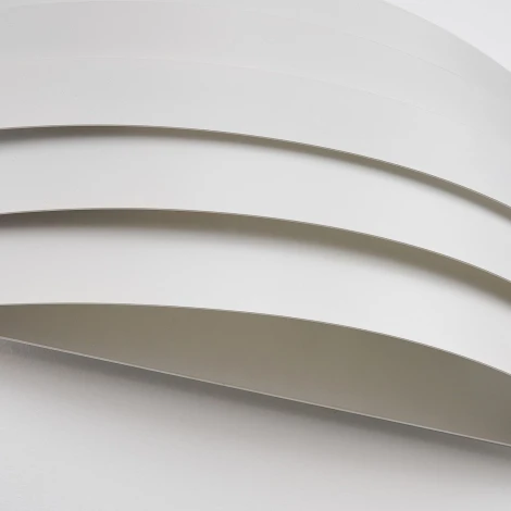 Настенный светильник Favourite Tantas 4122-2W (220V)