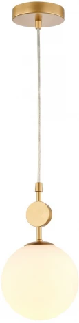 Подвесной светильник Favourite Absolute 2928-1P (220V, на проводе, шар)