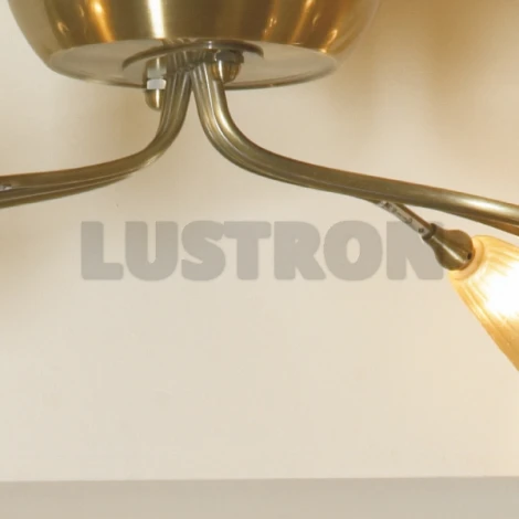 Потолочный светильник Lussole Roncobello LSA-0463-08
