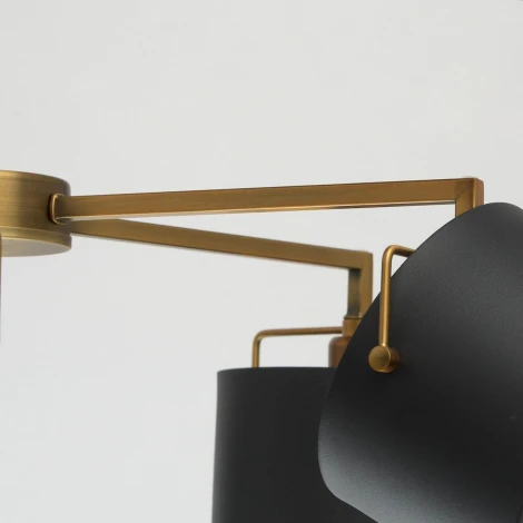 Потолочная люстра MW-Light Сайрус 721010205