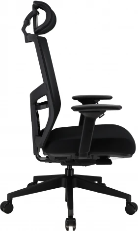 Эргономичное кресло Everprof Fuji Сетка Черный