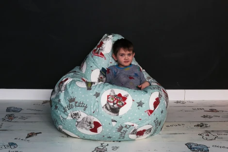 Кресло мешок Dreambag Груша Кошки (L, Классический) 5006911