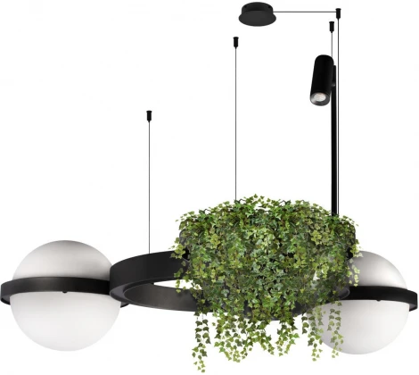 Подвесной светильник Loft It Jardin 10121/2 (LED, 220V, на тросе, шар)