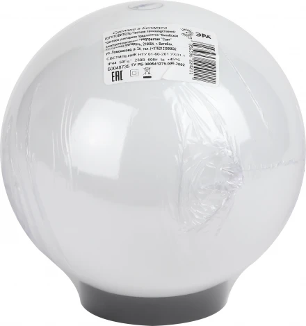 Уличный консольный светильник ЭРА НТУ 01-60-201 (220V, шар, IP44)