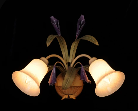 Бра Doge Luce 4544/A2 (220V, цветы)