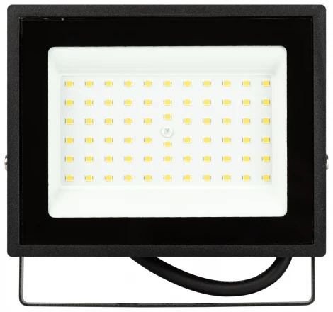 Прожектор уличный светодиодный ЭРА LPR-02 LPR-023-0-30K-050