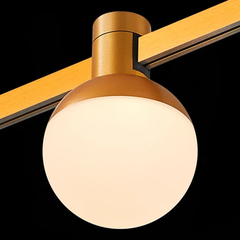Магнитный трековый светильник ST Luce Farm ST815.206.05 (LED, 24V, шар)