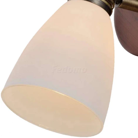 Спот Toplight Sharyl TL3720Y-01BB