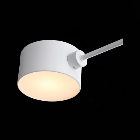 Потолочная люстра на штанге Evoluce Gimento SLE183502-04 (220V)