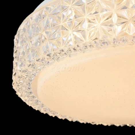 Настенно-потолочный светильник Freya Alicia FR6309-CL01-12W-W