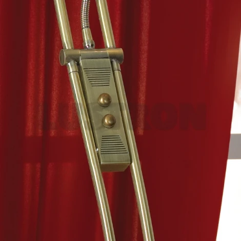 Торшер Lussole Comfort LSN-7955-02
