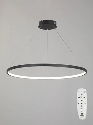 Подвесной светильник с ПДУ светодиодный LED 54Вт, 2700-6500К Vitaluce V2516DT-1/1S кольцо (220V, на тросе, кольцо)