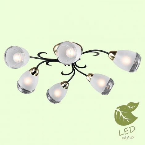 Потолочная люстра Lussole Lgo Oakland GRLSP-9952